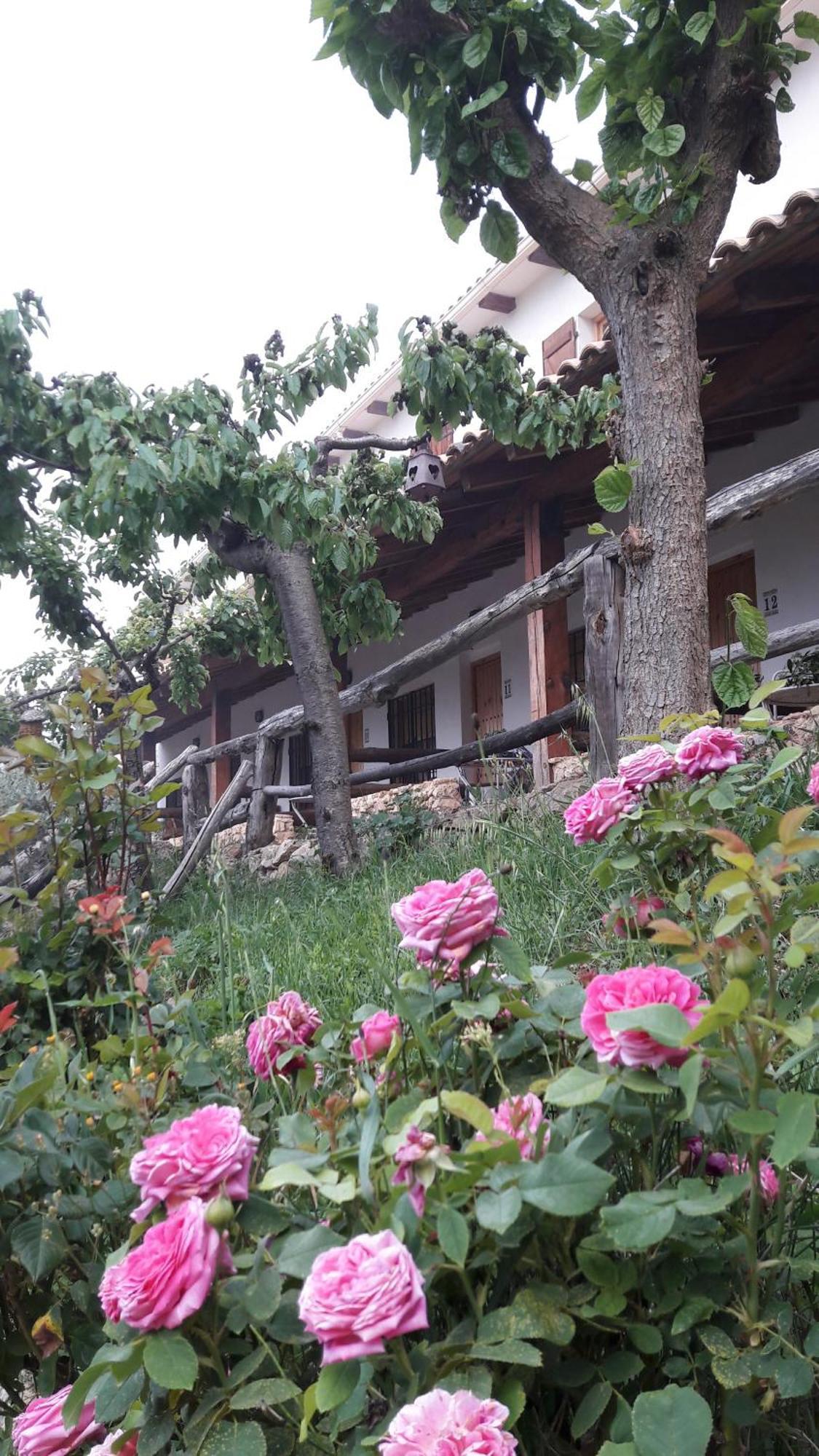 Bed and Breakfast Chorros Del Rio Mundo Riópar Esterno foto